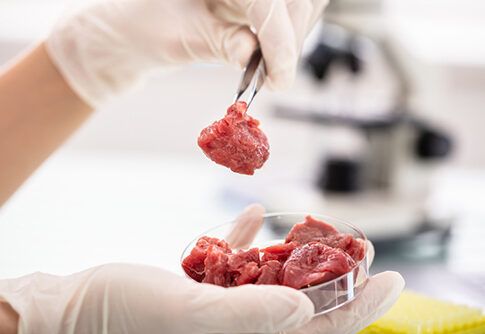 No se encuentra una asociación entre el riesgo de enfermedad cardiovascular, cáncer o diabetes y el consumo de carne roja o procesada.