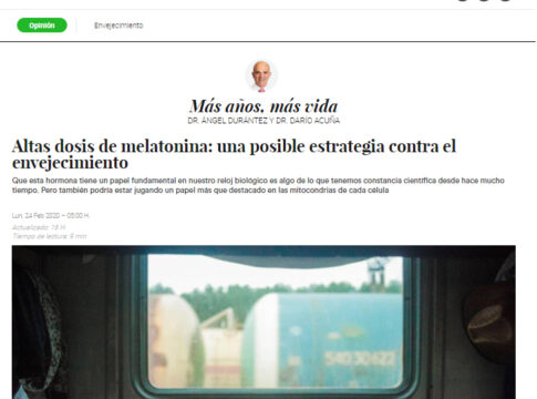 Que esta hormona tiene un papel fundamental en nuestro reloj biológico es algo de lo que tenemos constancia científica desde hace mucho tiempo. Pero también podría estar jugando un papel más que destacado en las mitocondrias de cada célula