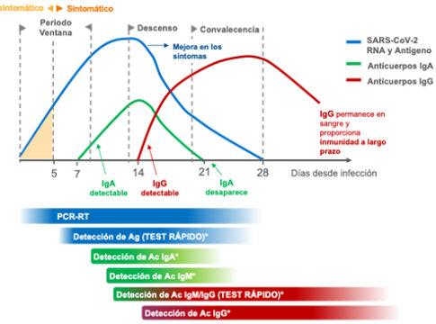 Test Serológicos COVI 19, en clínica Dr Durántez