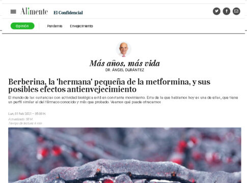 La berberina es un aliado para mejorar el control glicémico junto a cambios en el estilo de vida.