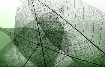 Medicina de Precisión: La Nueva Forma de Entender la Longevidad