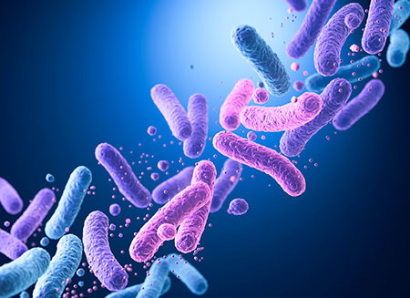 Microbiota y envejecimiento
