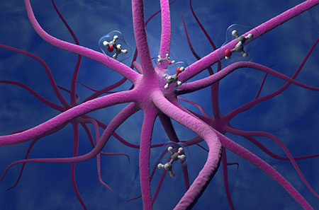 Neuroinflamación y envejecimiento