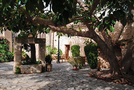 The Slow Retreat: Tomorrow’s Longevity in the Mediterranean
